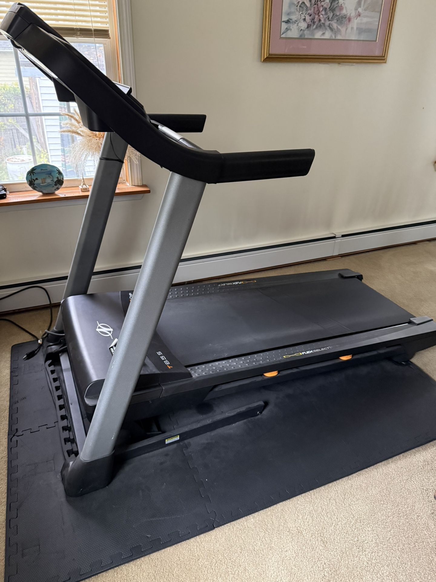 Norditrack Treadmill