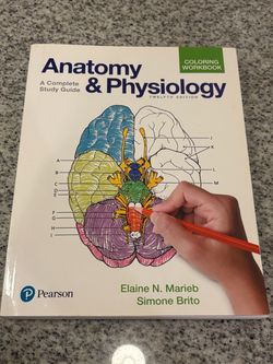 Anatomy and Physiology Coloring Book