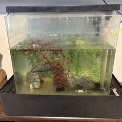 Approx 25 Gallon All In One Aquarium 