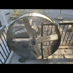 50 Inch Fan 