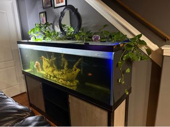 140 gallon fish tank