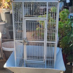 Big Bird Cage