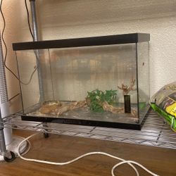 10 Gallon Terrarium 
