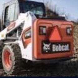 BOBCAT
