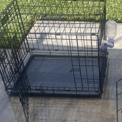 Dog Crate