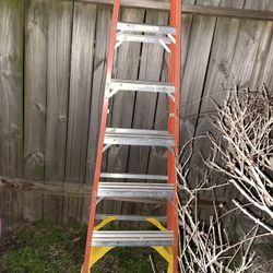 6ft Ladder 
