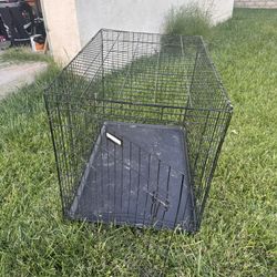 Dog kennel 