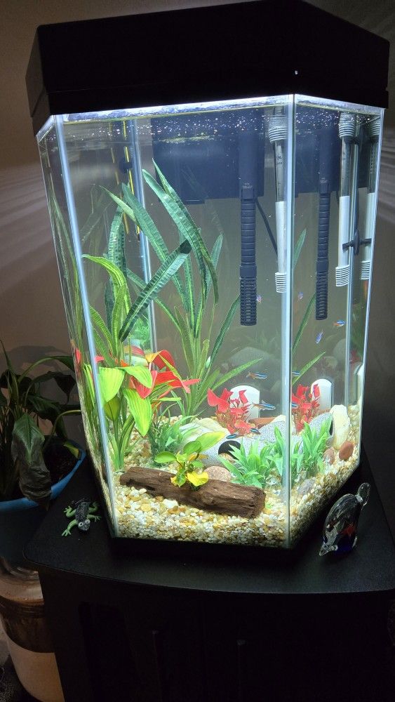 30 Gal Octagon Aquarium 