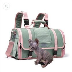 Cat Sphynx Girl Item 