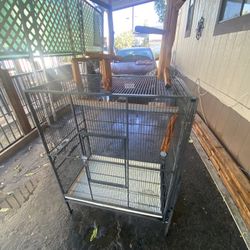 Bird Cage Need Gone Asap