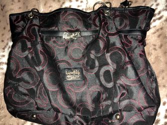 coach bag with dust bag