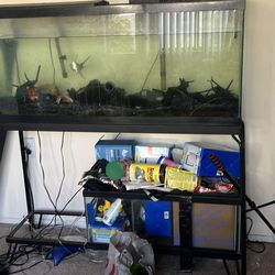 Free 50 gallon fish and stand included