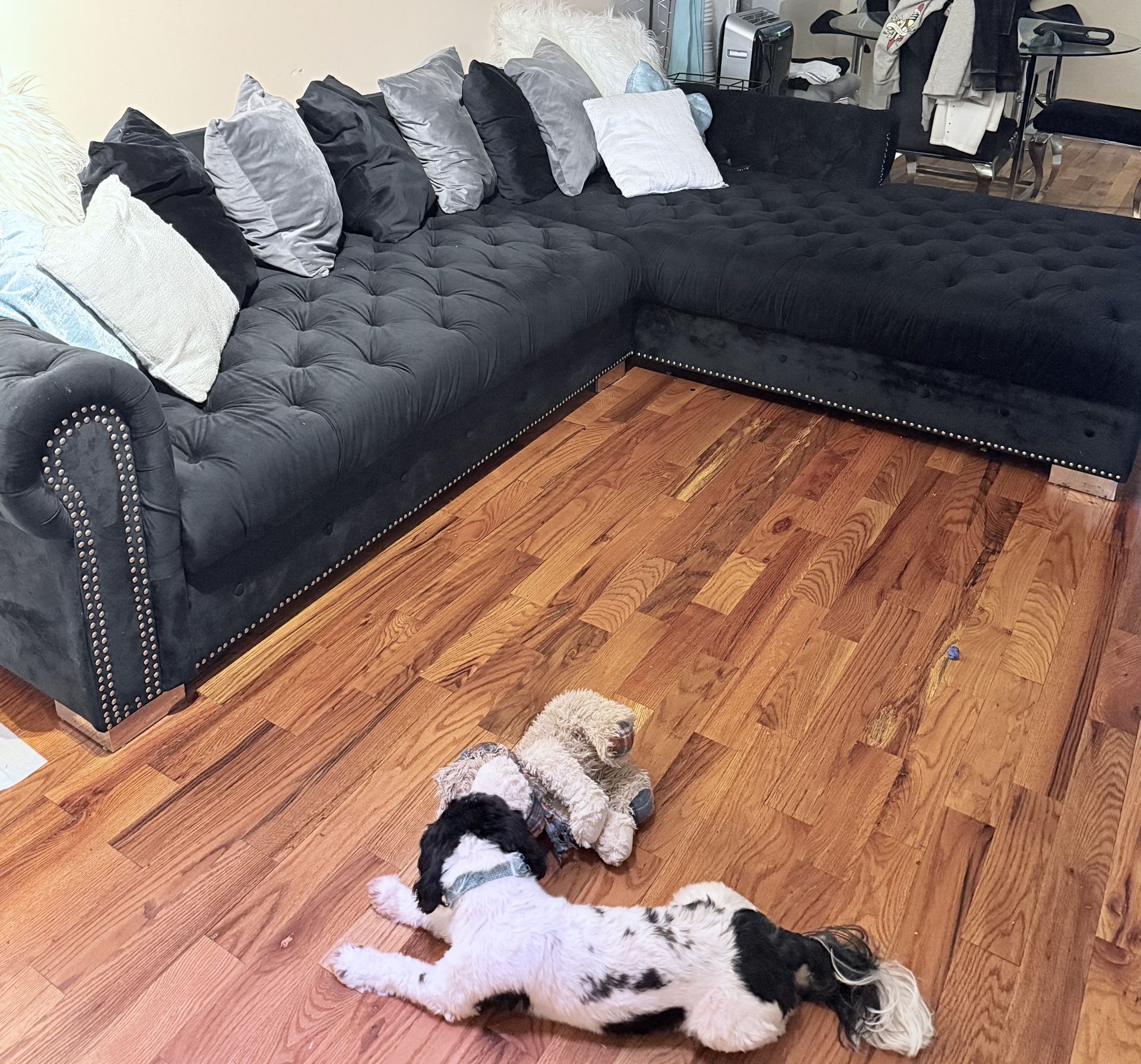 Couch Still Great Looking