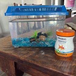 Small Fish Tank & Food