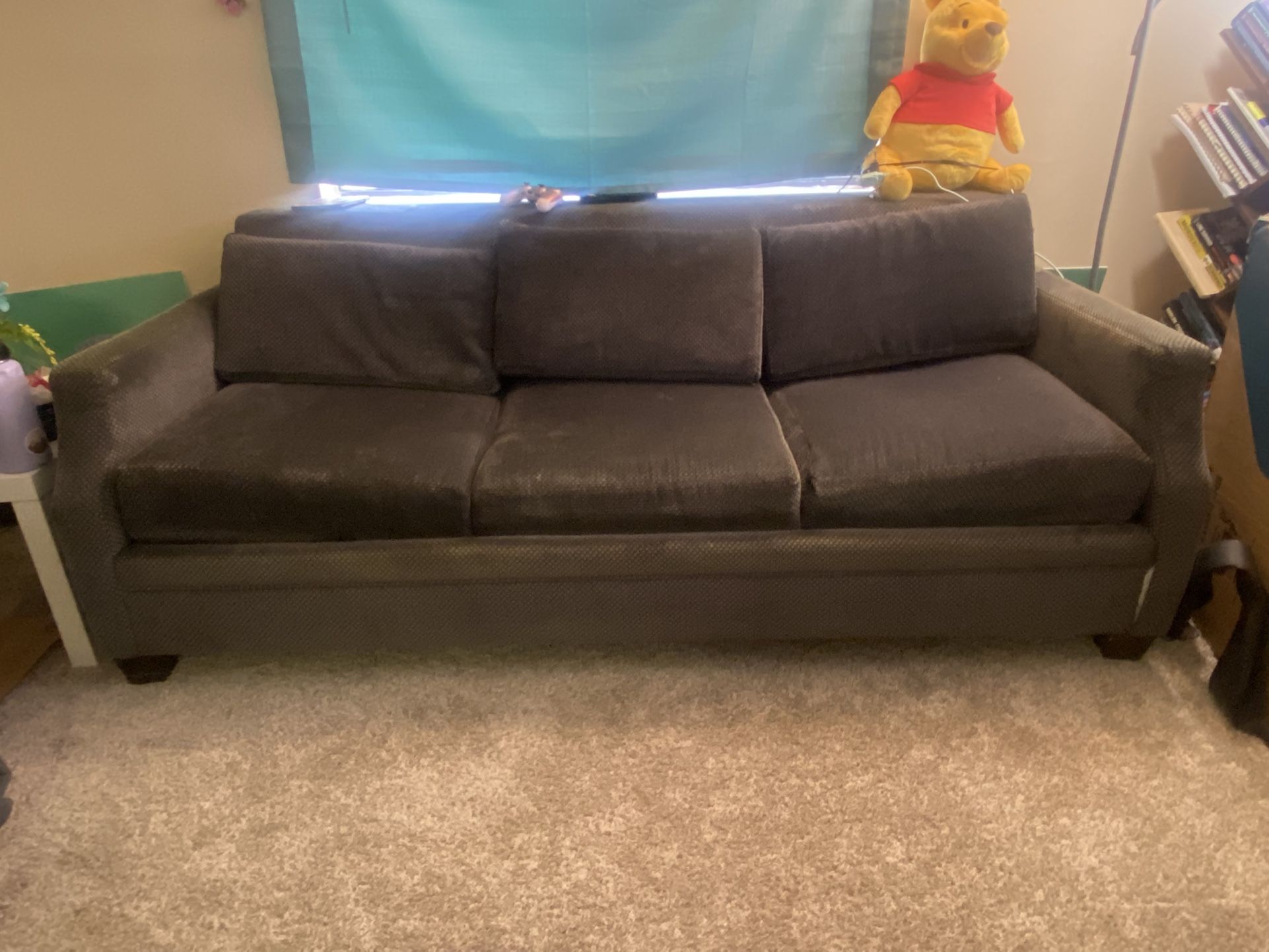 Couch w/ Pull-Out Bed – Needs Pickup ASAP