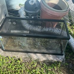 20 gallon long reptile tank