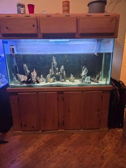150 gallon  fish tank
