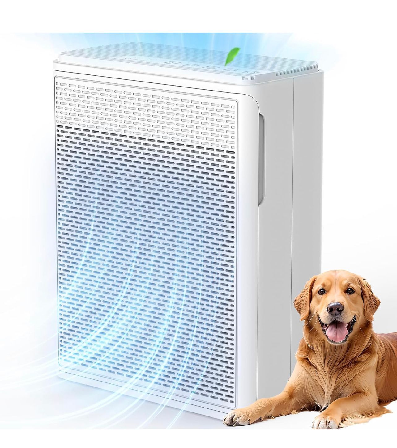 Air Purifiers for Home