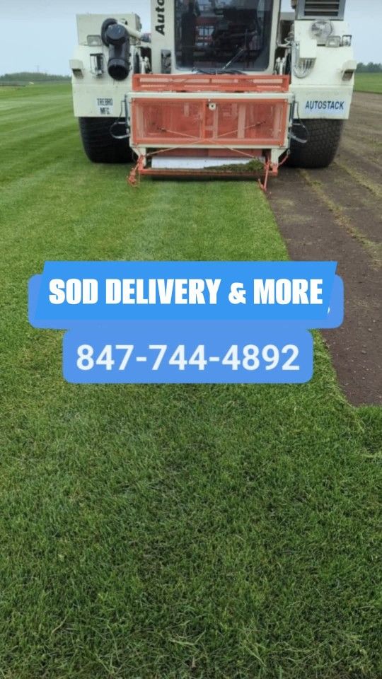 🌱Sod for Sale 🌱