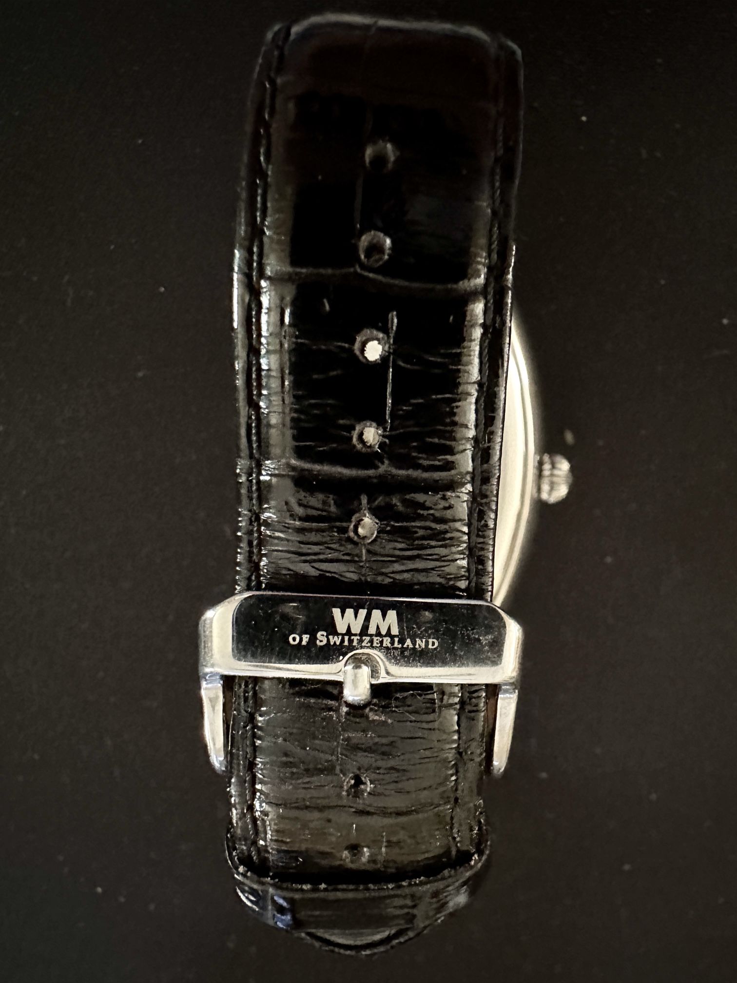 Wm of 2025 switzerland watch