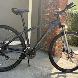 Schwinn Ascension 29er large frame