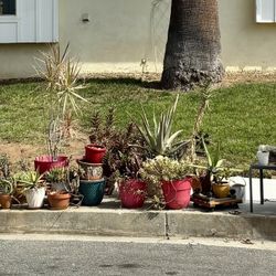 Curb Alert FREE