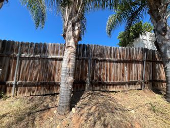 Free fence