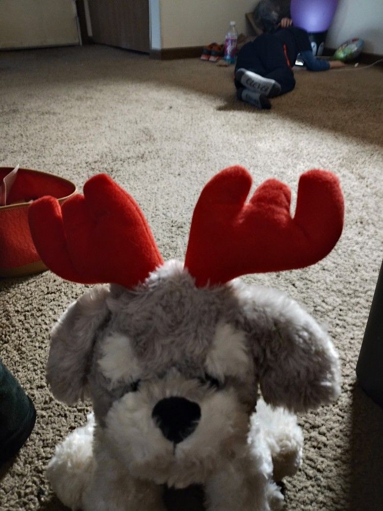 Christmas Stuff Animal Dog