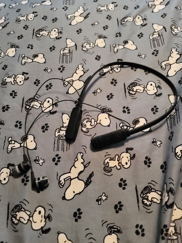 Skullcandy Headphones