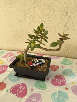 Gift For Car Lovers