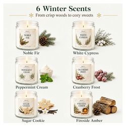 PELN 6-Pack Winter Candle Gift Set