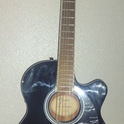 Fender Acoustic-Electric Amp Case Accessories Combo $210