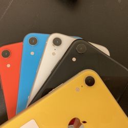 Xr