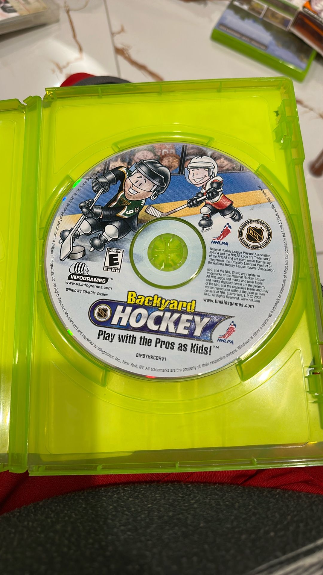backyard hockey game