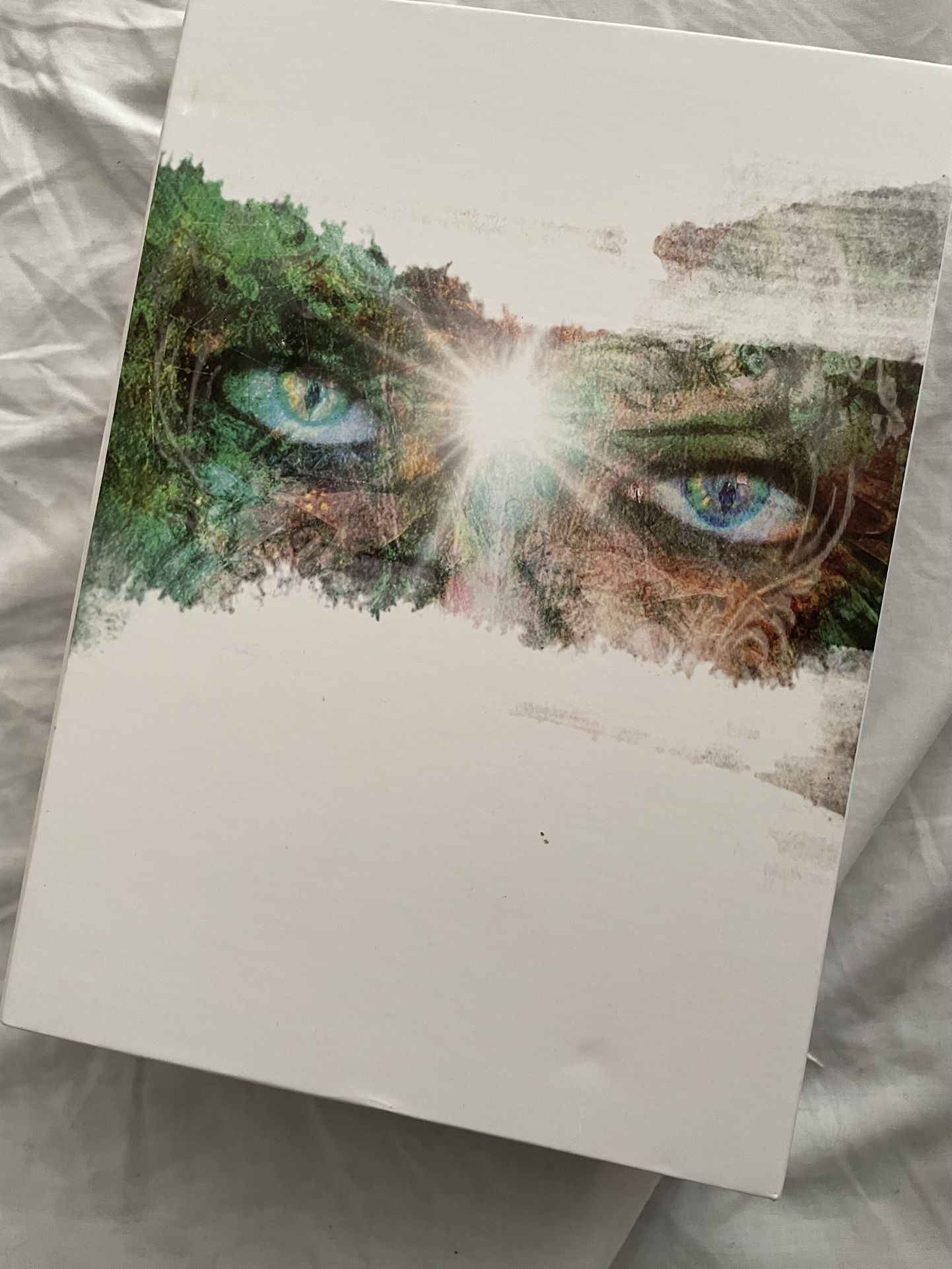 Mystical Shaman Oracle Deck & Guidebook
