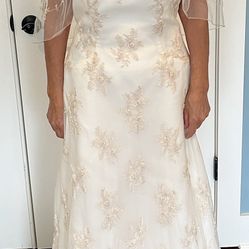 Beautiful Ivory Wedding Gown