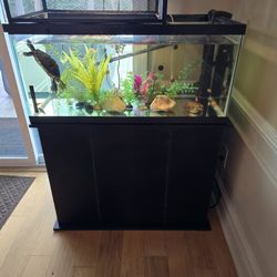 40 gallon aquarium or tank for small animal with stand and cover