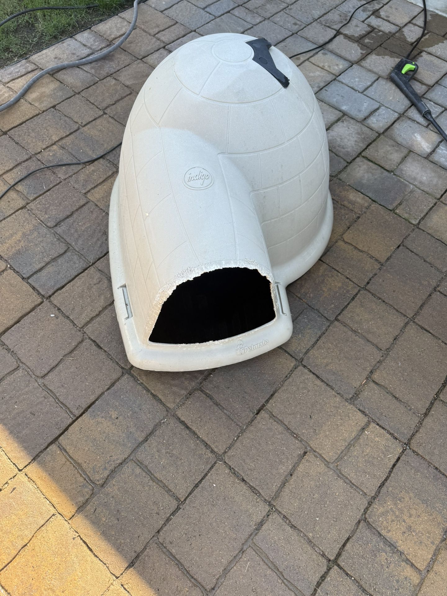 Igloo House Plus 50lb Dog Feeder
