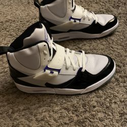 Size 11 Jordan Flight 45 High Concord