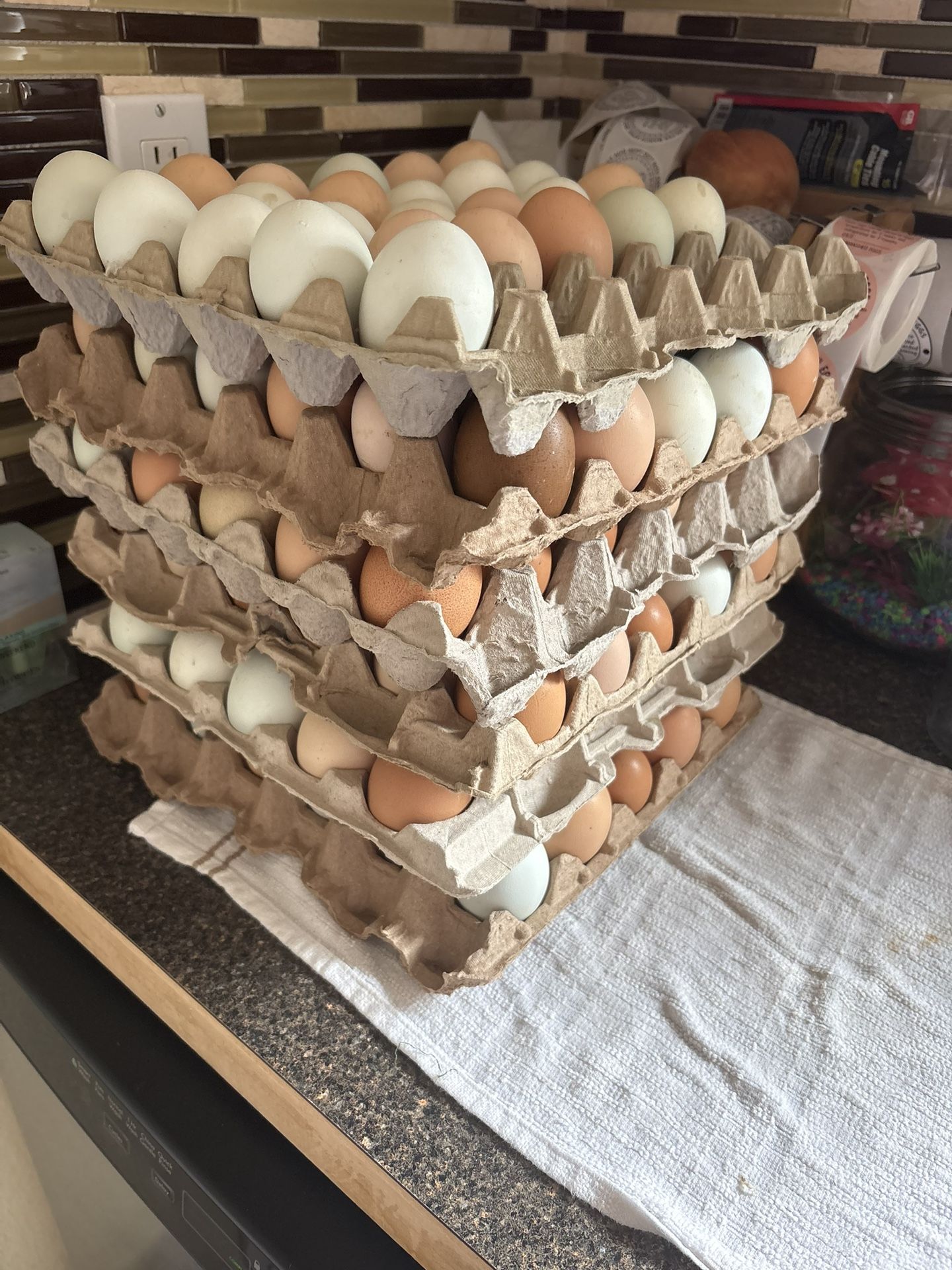 Eggs For Sale