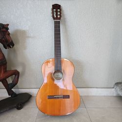 Fender Acoustic Guitar 