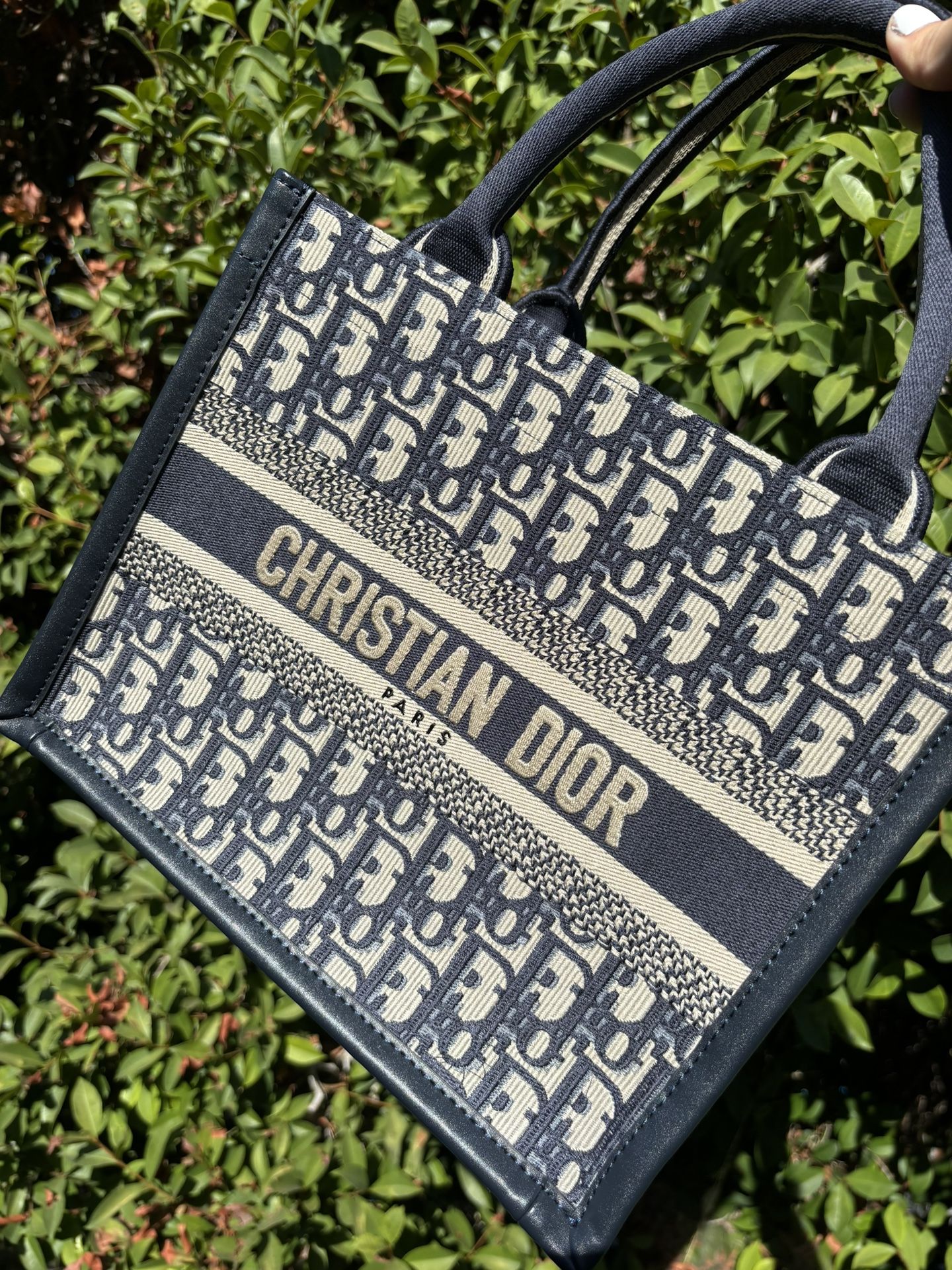 Medium Dior Tote Bag