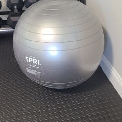 SPRI Elite Xercise Exercise Balance Ball, Silver, 75cm
