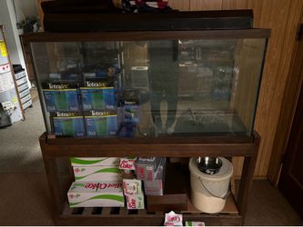 Fish Tank