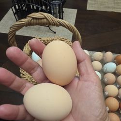 Fresh Farm Eggs -unwashed