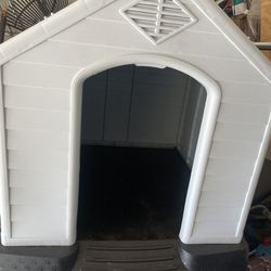 Dog House Available Now