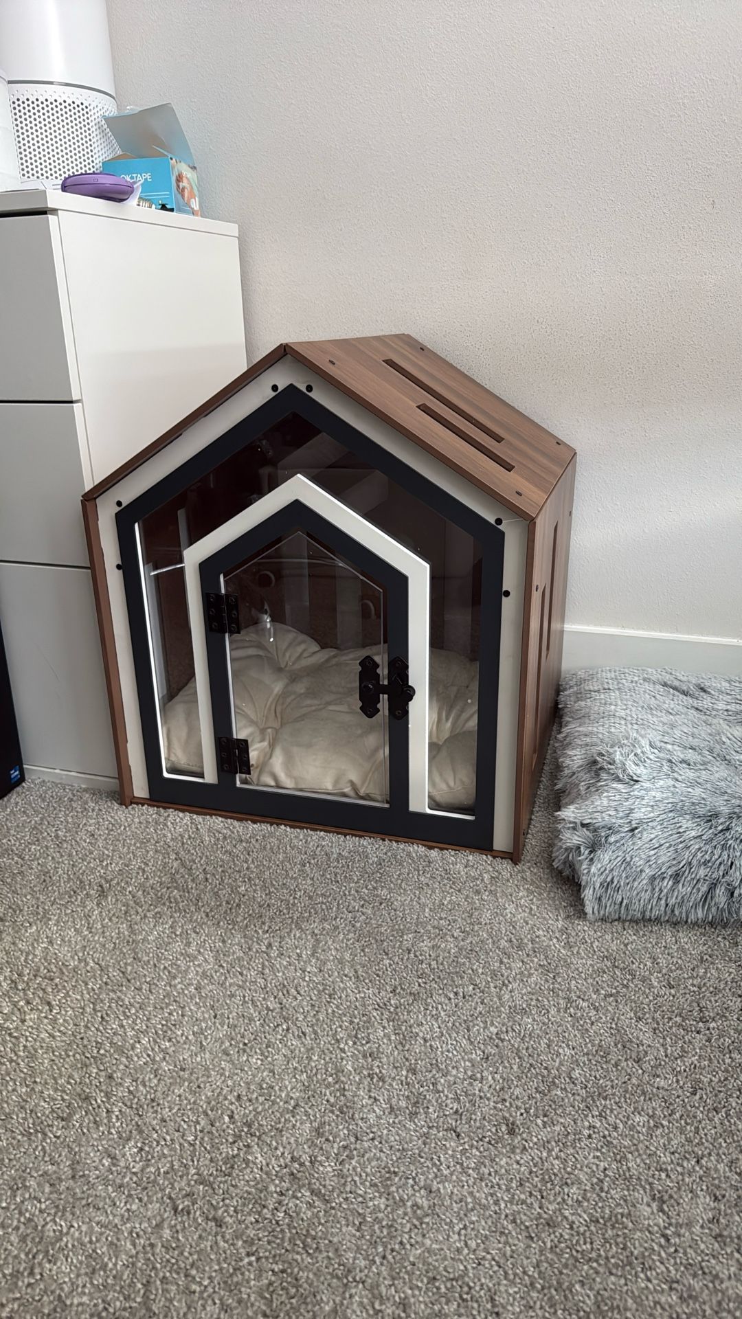 House Dog