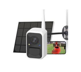 Birdfy Camera With Solar Panel