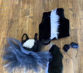 Skunk costume size 2