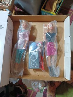 New Rockstar And Vet With Assories Dolls